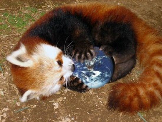Daily picdump (117 pics)