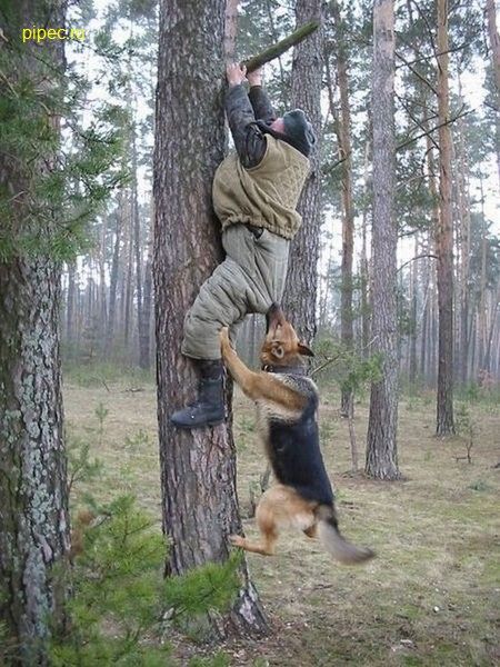Daily picdump (117 pics)