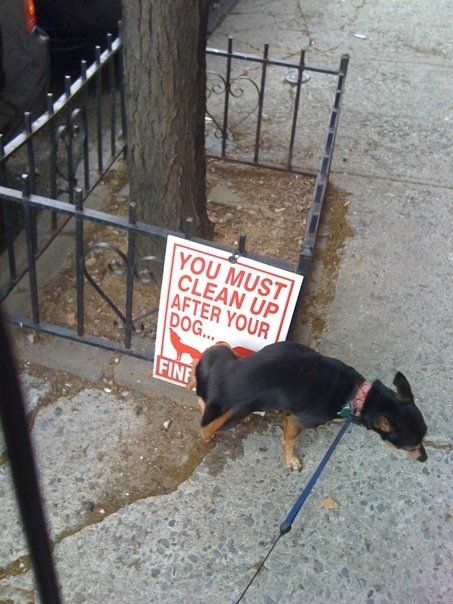 Daily picdump (117 pics)