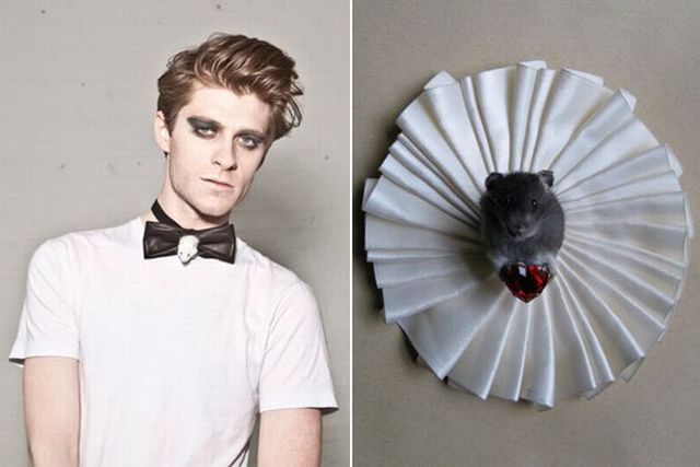 Freaky taxidermy jewelry – How about a dead rat in your bowtie? (4 pics)