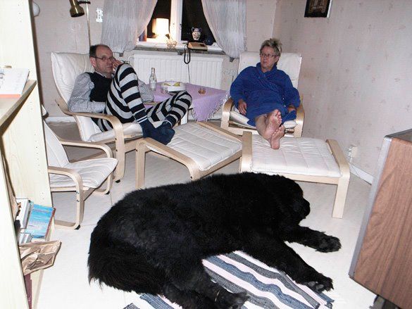 Daily picdump (111 pics)