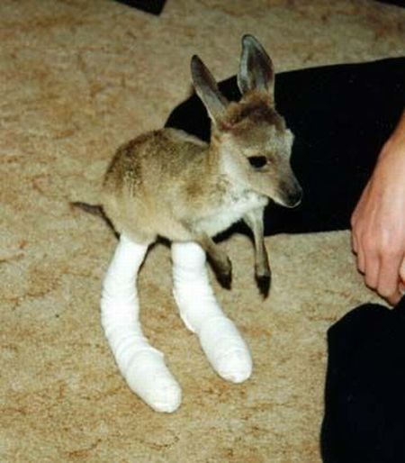 Daily picdump (111 pics)