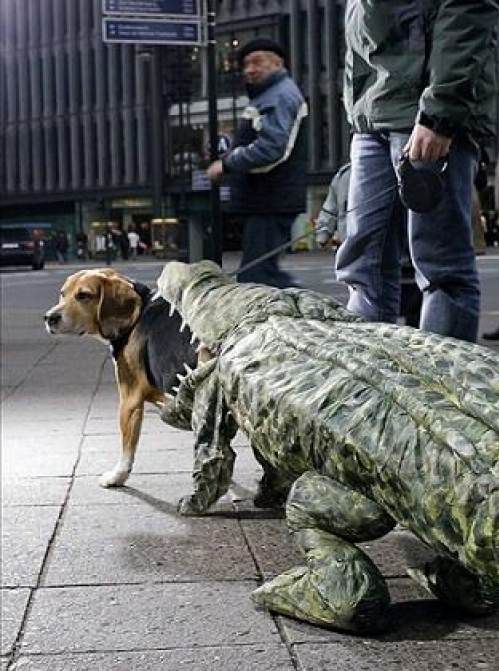 Daily picdump (111 pics)
