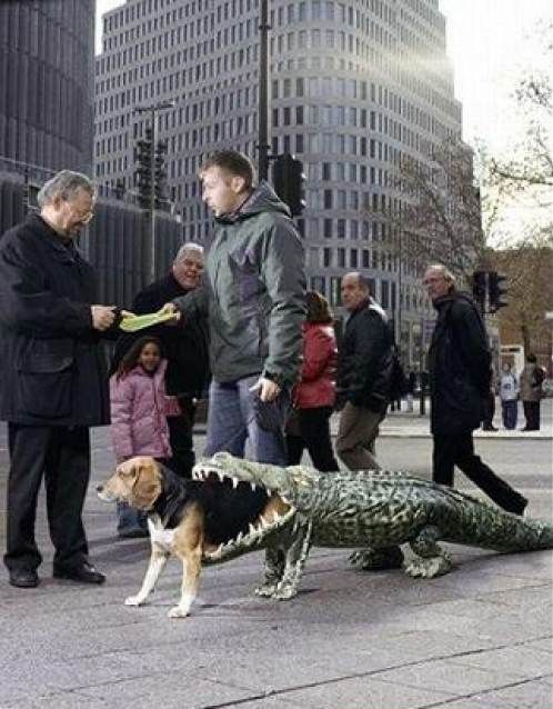 Daily picdump (111 pics)