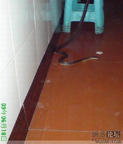 How they solve the land issues in China. Part 2 (5 pics)