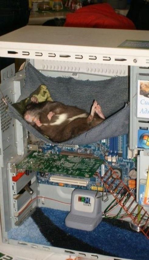 Daily picdump (144 pics)