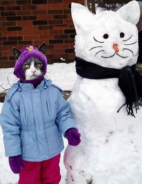 Daily picdump (144 pics)