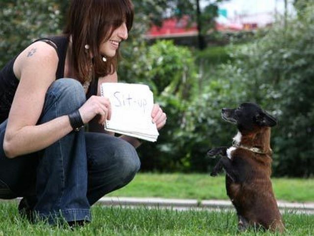 Daily picdump (144 pics)