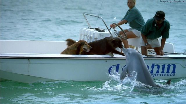 Daily picdump (144 pics)