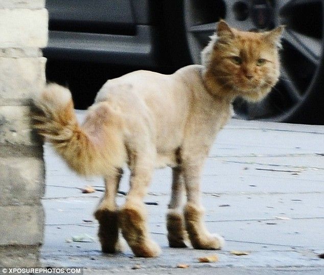 Daily picdump (144 pics)