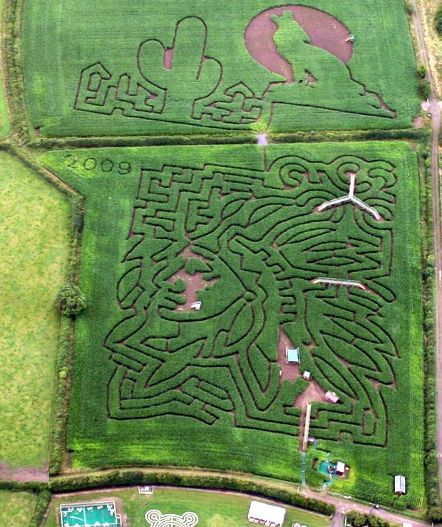 Daily picdump (144 pics)