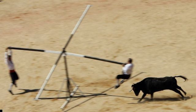 Daily picdump (144 pics)