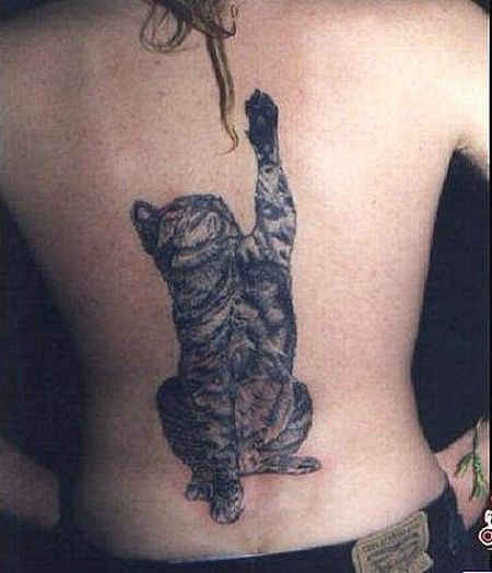 Daily picdump (144 pics)