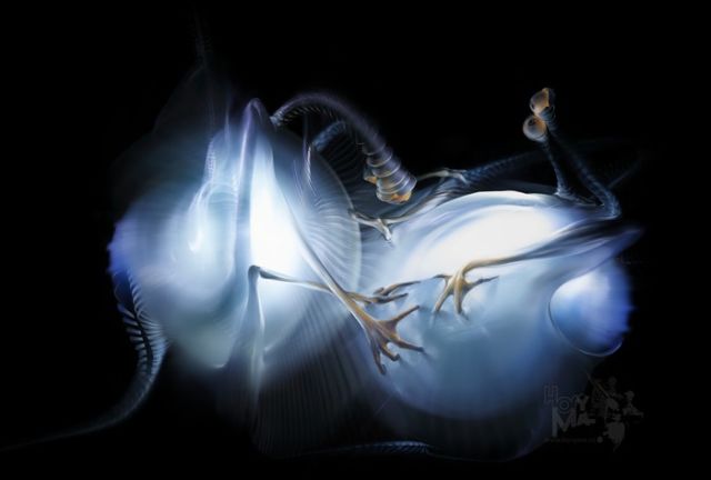 Paintings of light. Beautiful (32 pics)