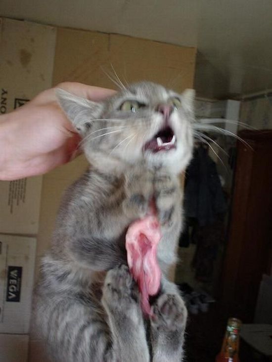 Daily picdump (127 pics)