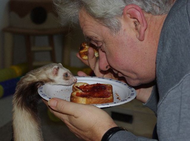 Daily picdump (127 pics)