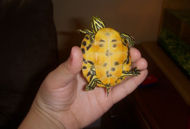 Daily picdump (127 pics)