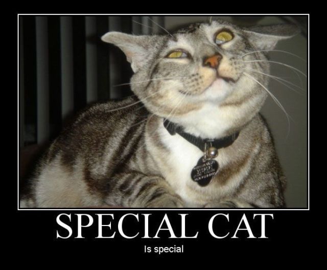 Daily picdump (127 pics)