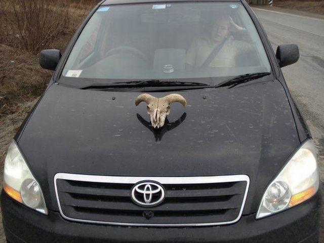Daily picdump (127 pics)