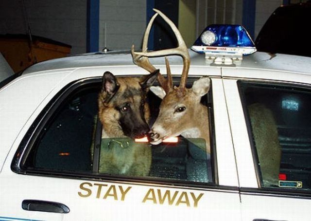 Daily picdump (127 pics)