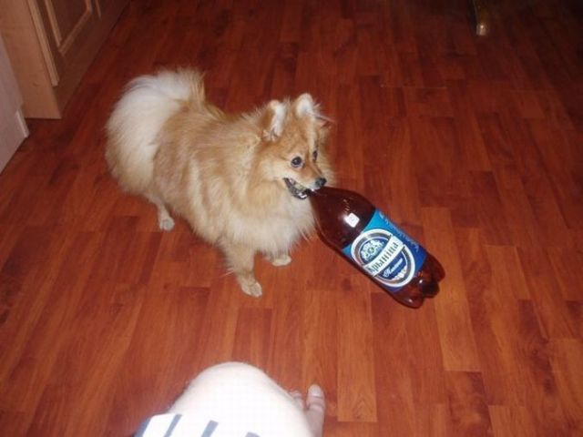 Daily picdump (127 pics)