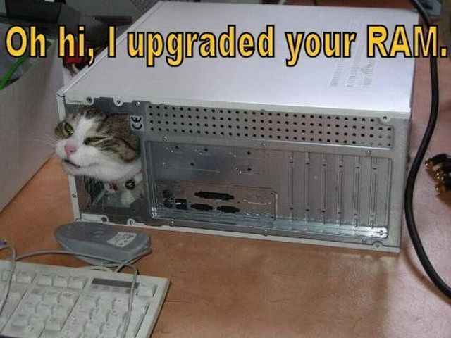 Daily picdump (127 pics)