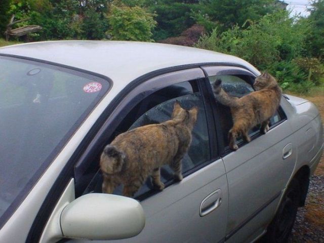 Daily picdump (127 pics)