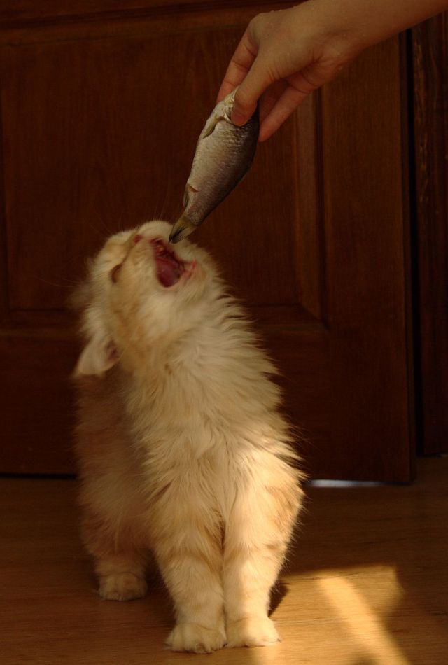 Daily picdump (127 pics)