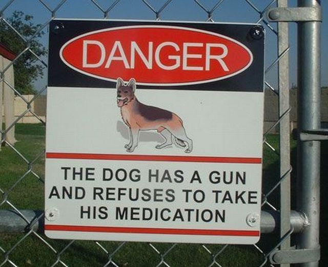 Daily picdump (127 pics)
