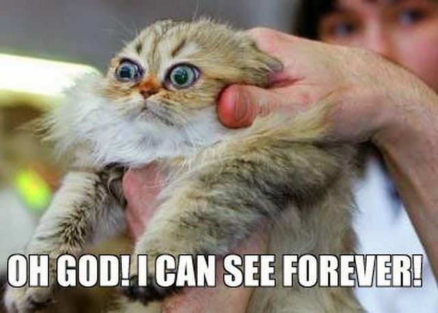 Daily picdump (127 pics)