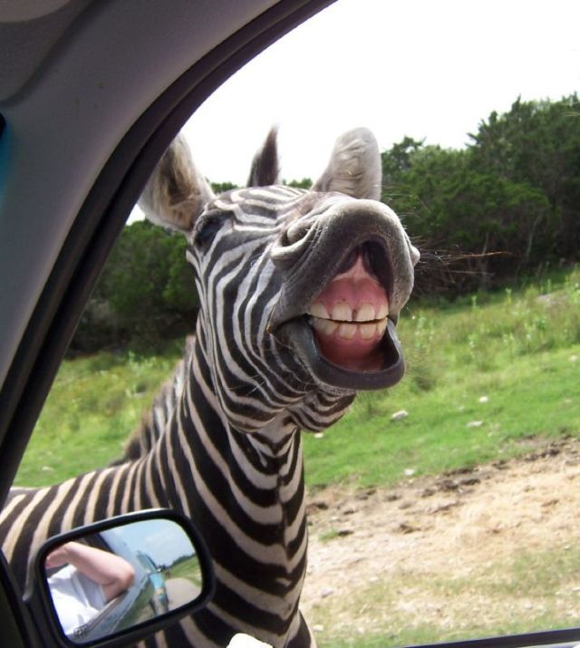 Daily picdump (127 pics)