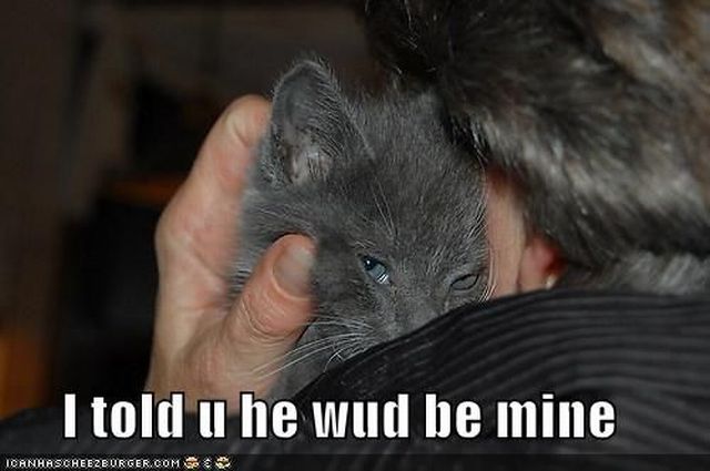 Daily picdump (127 pics)