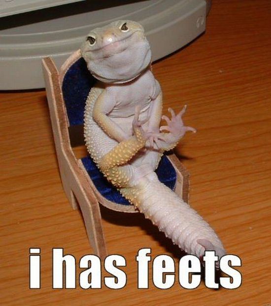 Daily picdump (127 pics)