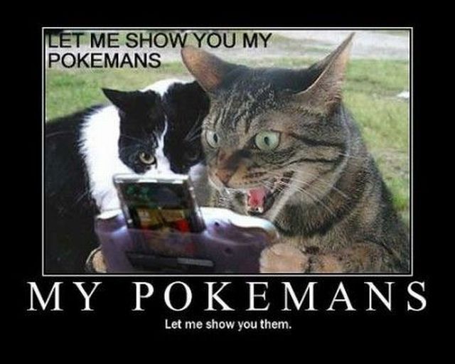 Daily picdump (127 pics)