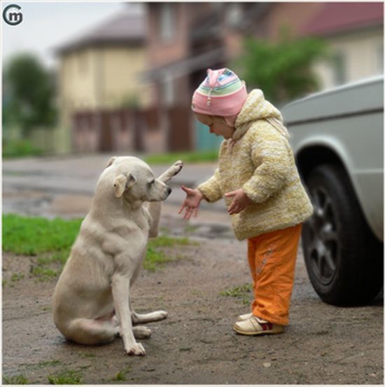 The positive emotion of the day. Hi friend! (4 pics)