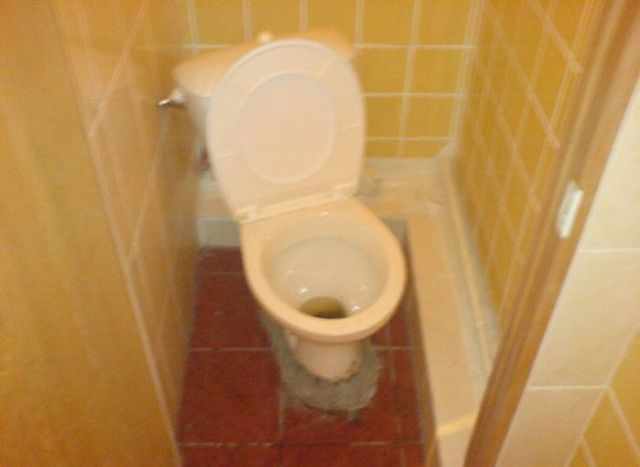Toilets can be different (103 pics)