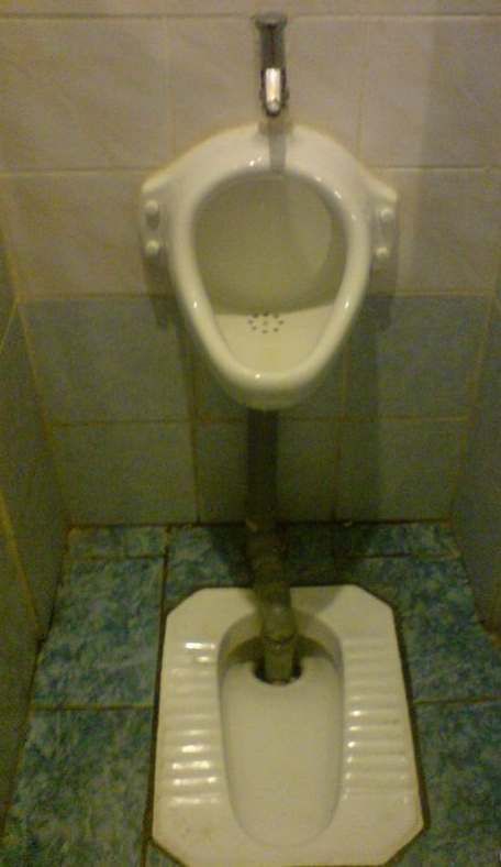 Toilets can be different (103 pics)