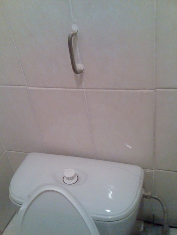 Toilets can be different (103 pics)