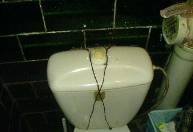 Toilets can be different (103 pics)