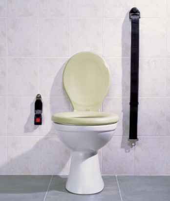 Toilets can be different (103 pics)