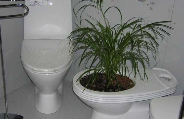 Toilets can be different (103 pics)