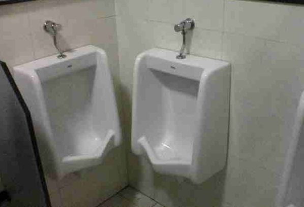 Toilets can be different (103 pics)