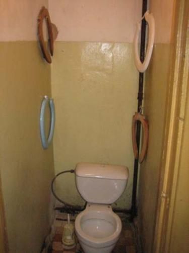Toilets can be different (103 pics)