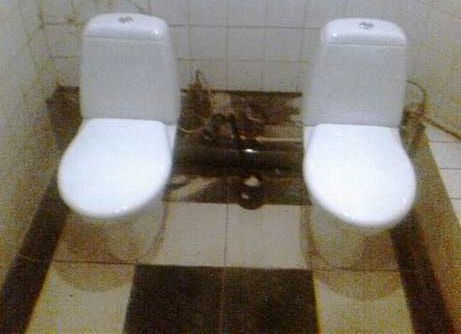 Toilets can be different (103 pics)