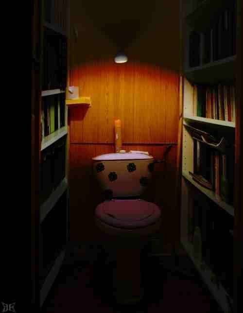 Toilets can be different (103 pics)