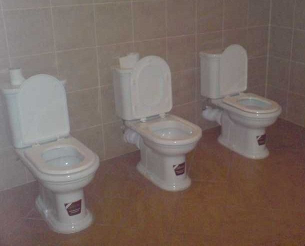 Toilets can be different (103 pics)