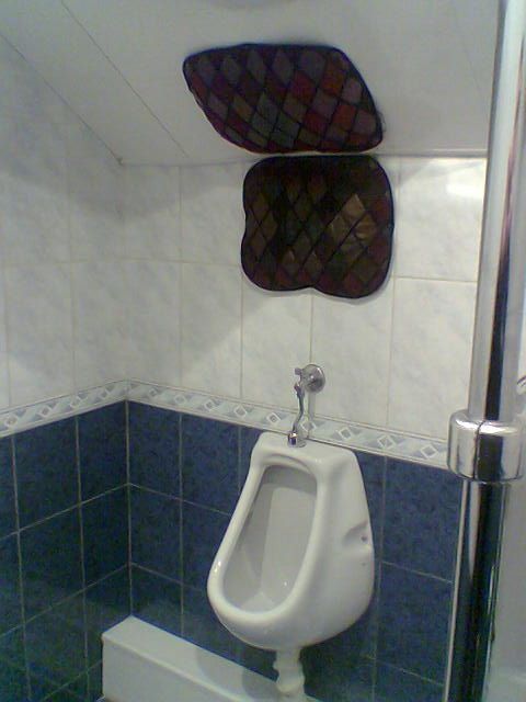 Toilets can be different (103 pics)