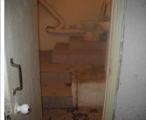 Toilets can be different (103 pics)