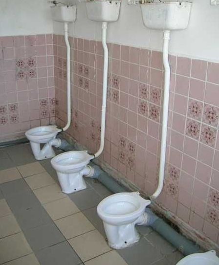 Toilets can be different (103 pics)