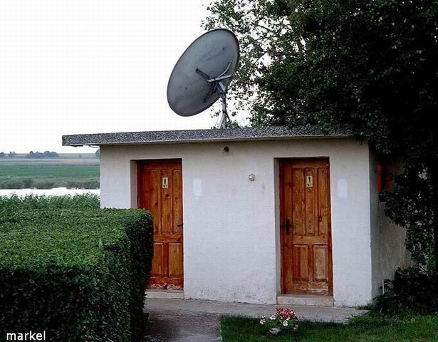 Toilets can be different (103 pics)